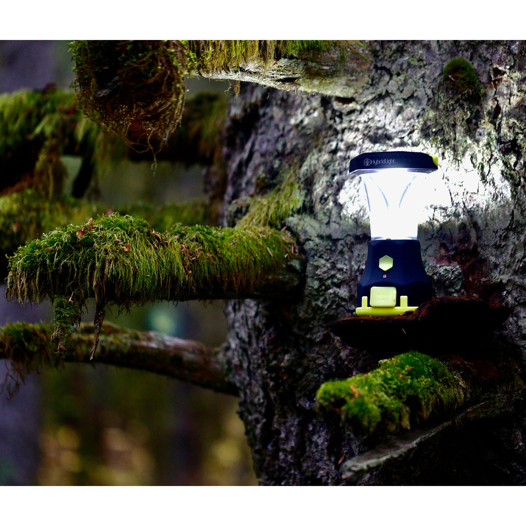 Atlas 600 Solar Camping Lantern hanging in tree
